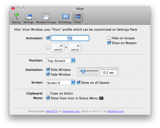 Visor settings